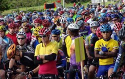 Tairua Food & Wine Festival